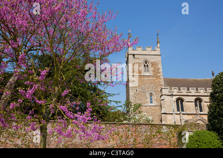 Die kleine Kirche von St Peter und St Paul auf dem Gelände des Belton House in der Nähe von Grantham Lincoln, England GB, Großbritannien Stockfoto