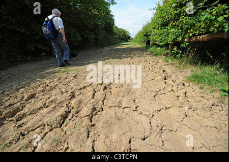 Ein Mann spaziert entlang eines trockenen, gerösteten Pfades am Arlington Reservoir in der Nähe von eastbourne East Sussex UK 2011 Stockfoto