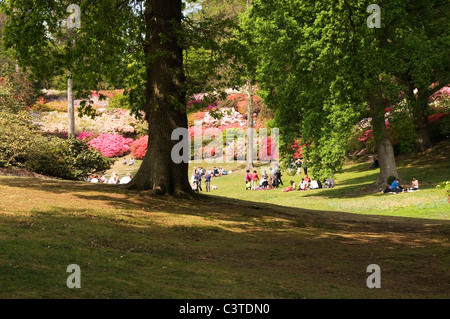 Die Menschen genießen die Aussicht an der Punchbowl Virginia Water Park, Virginia Surrey England Großbritannien Stockfoto