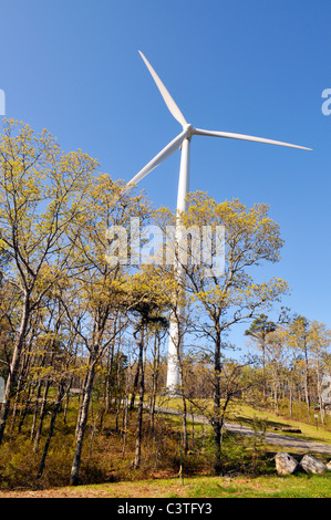 Blickte zu einer Windkraftanlage, umgeben von Bäumen und Wäldern an einem strahlend blauen Himmel Tag.  USA Stockfoto