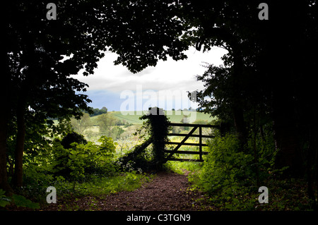 Auf der Suche durch die Bäume zu den hölzernen Tor und das Ackerland darüber hinaus. Newbottle Woods, King's Sutton, Northamptonshire, England Stockfoto