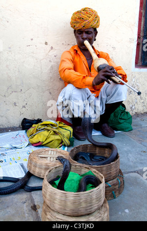 Snake Charmer, Jaipur, Rajasthan, Indien, Asien Stockfoto