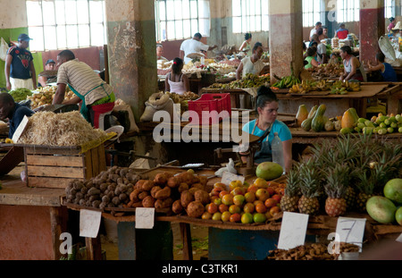 Lokalen Mercado Markt von oben von Fruchtgemüse im indoor Flohmarkt in Havanna Kuba Stockfoto