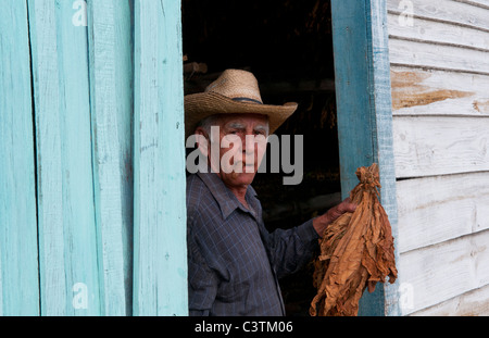 Mann vor Tabak Bauernhof Schuppen Haus in der Provinz Pinar Del Rio in ländlichen Kuba Karibik Stockfoto