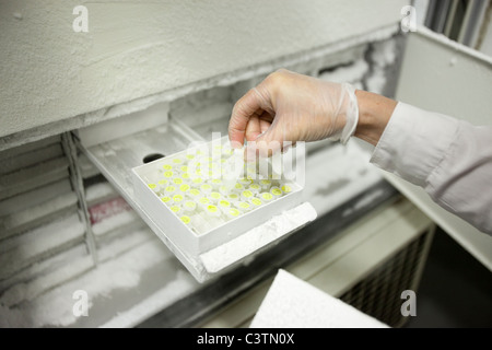 Wissenschaftliche Manipulation von gefrorenen Reagenzgläsern im Labor Stockfoto