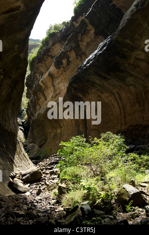 Echo-Schlucht, Golden Gate Highlands National Park, Südafrika Stockfoto