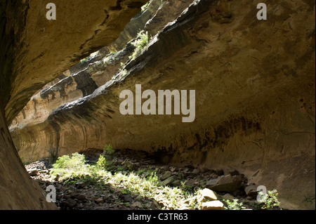 Echo-Schlucht, Golden Gate Highlands National Park, Südafrika Stockfoto