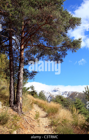 Landschaft des Tinée-Tals im Hinterland des Departements Alpes-Maritimes Stockfoto