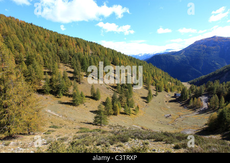 Landschaft des Tinée-Tals im Hinterland des Departements Alpes-Maritimes Stockfoto