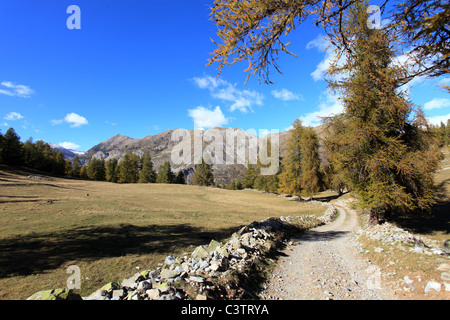 Landschaft des Tinée-Tals im Hinterland des Departements Alpes-Maritimes Stockfoto