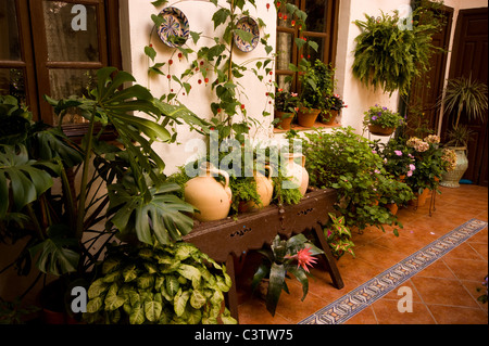 SCHÖNEN ANDALUSISCHEN INNENHÖFEN IN DEN PATIO-FESTIVAL IN CORDOBA SPANIEN 2011 EINGETRAGEN Stockfoto