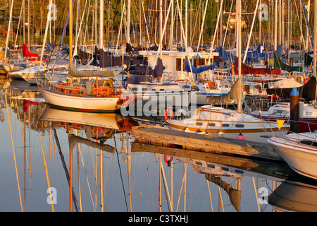 Boote in Oak Bay Marina am Sonnenaufgang-Victoria, British Columbia, Kanada. Stockfoto