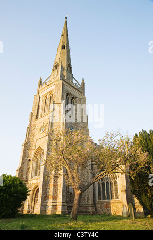 "St. Johannes der Täufer", Thaxted Kirche, Essex, England, UK. Stockfoto