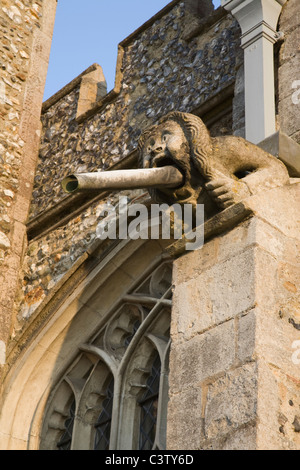 Ein Wasserspeier an der Seite "St. Johannes der Täufer", Thaxted Kirche, Essex, England. Stockfoto