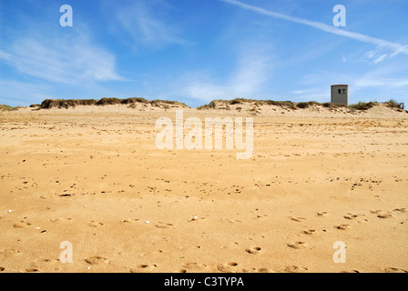 Dünen und Strand von La Cotiniere, Region Poitou-Charentes in Frankreich, Departement Charente Maritime Stockfoto