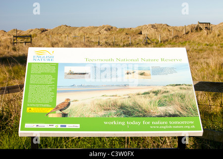 Teesmouth National Nature Reserve auf Teeside, UK. Stockfoto