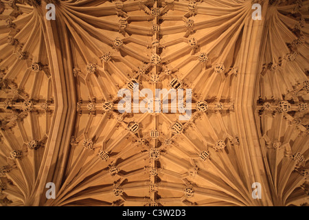 Die Decke des Divinity School in der Bodleian Library, Oxford University, England Stockfoto