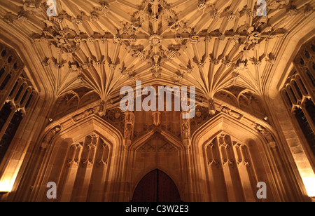 Im Inneren des Divinity School in der Bodleian Library, Oxford University, England Stockfoto