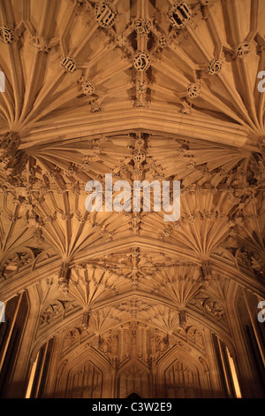 Die Decke des Divinity School in der Bodleian Library, Oxford University, England Stockfoto