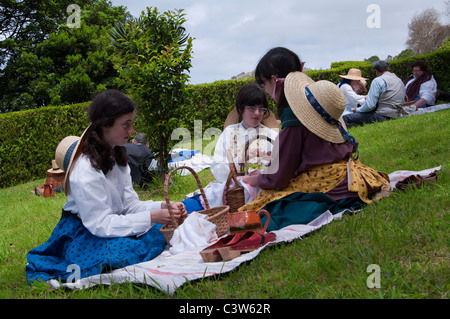 Mittagszeit während der Ernte Tee Ernten in "Porto Formoso" Dorf, Kosten der Norden der Insel São Miguel auf den Azoren. Stockfoto