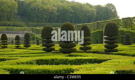 Die klassische formale Gärten von Villandry in der Loire Stockfoto