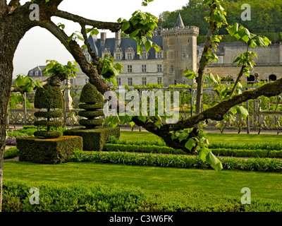 Die klassische formale Gärten von Villandry in der Loire Stockfoto