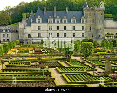 Die klassische formale Gärten von Villandry in der Loire Stockfoto