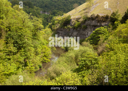 auf dem Monsal Wanderweg, Teil einer stillgelegten Eisenbahnstrecke zwischen Bakewell und Buxton in Derbyshire. Stockfoto