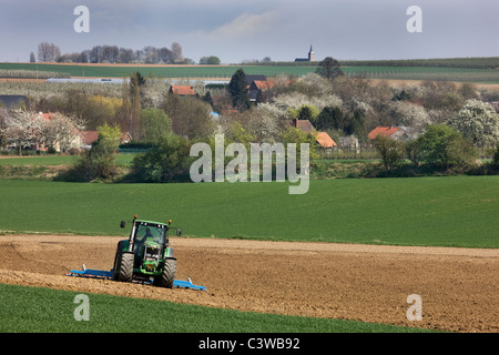 Traktor Pflügen Feld in Hesbay, Belgien Stockfoto