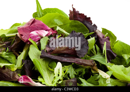 Spinat, rote Blatt Salat, Mizuna für Hintergrund Stockfoto