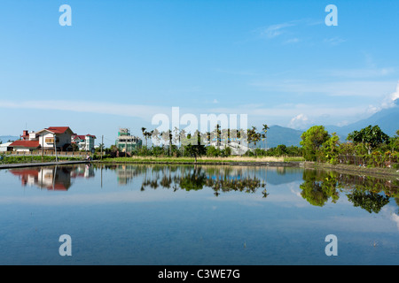 Landschaft mit Reisfeldern und Reflexion auf Wasser in Paddy, Ji'an county, Hualien County, Taiwan Stockfoto