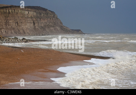 Felsen und die Küste bei Hastings; East Sussex Stockfoto