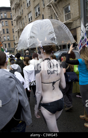 2011: die vierte jährliche Veggie-Parade in Greenwich Village in New York City. Stockfoto