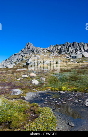 Die australische Landschaft in den Snowy Mountains Stockfoto