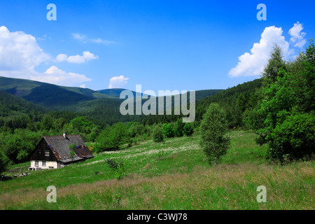 altes Schlesisches Haus im Wald. Jarkowice ehemaligen deutschen Hermsdorf Städtisch, untere Schlesien, Polen, Europa Stockfoto