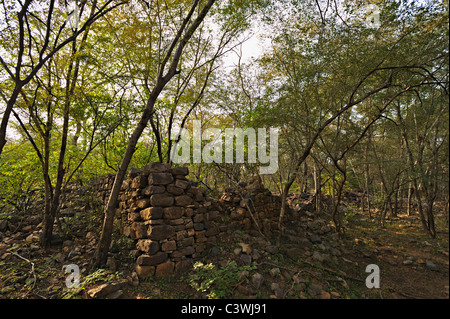 Zerstörte Wand eines alten Hauses in Ranthambhore National park Stockfoto