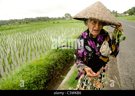 alte Frau im ländlichen Bali Indonesien Stockfoto