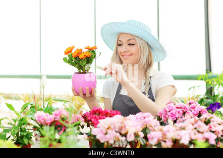 Weibliche Gärtner Blumen in einem Garten zu prüfen Stockfoto