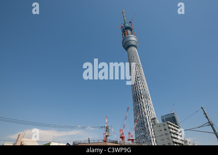 "Tokyo Sky Tree" erscheint im Bereich Narihirabashi/Oshiage des Sumida Ward, Tokio, Japan. Prahlerei eine Höhe von 634m. Stockfoto