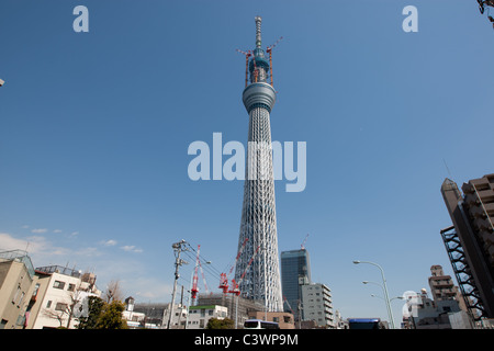 "Tokyo Sky Tree" erscheint im Bereich Narihirabashi/Oshiage des Sumida Ward, Tokio, Japan. Prahlerei eine Höhe von 634m. Stockfoto