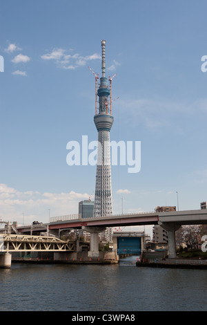 "Tokyo Sky Tree" erscheint im Bereich Narihirabashi/Oshiage des Sumida Ward, Tokio, Japan. Eine Höhe von 634m, der Towe Prahlerei Stockfoto