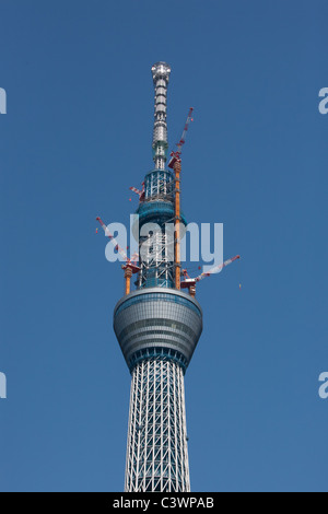 "Tokyo Sky Tree" erscheint im Bereich Narihirabashi/Oshiage des Sumida Ward, Tokio, Japan. Prahlerei eine Höhe von 634m. Stockfoto