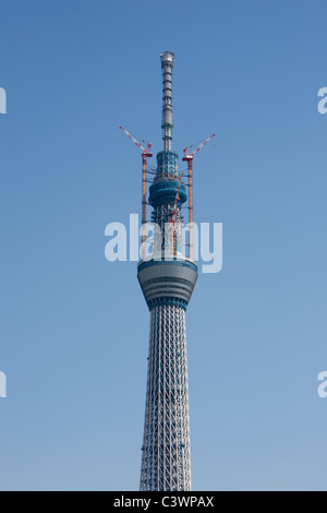 "Tokyo Sky Tree" erscheint im Bereich Narihirabashi/Oshiage des Sumida Ward, Tokio, Japan. Prahlerei eine Höhe von 634m. Stockfoto