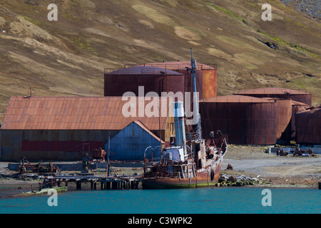 Das gestrandete Wrack der refloated Versiegelung der Sturmvogel in Grytviken, Südgeorgien Insel Stockfoto