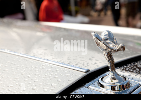 Die Spirit of Ecstasy, auch als Emily, Silver Lady oder Flying Lady an einem Rolls-Royce Kraftfahrzeug England UK Stockfoto