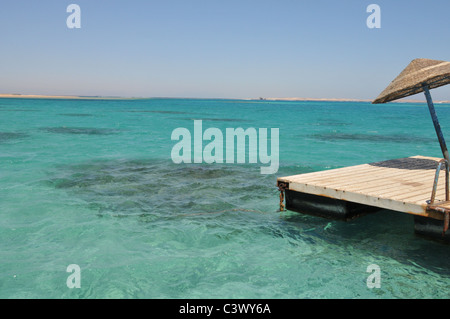 Pool und Strand Seegebiet von Jaz Belvedere Hotel in Ägypten Stockfoto