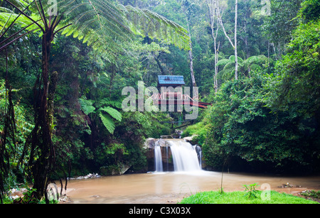 Parit Wasserfall, Cameron Highlands, Malaysia Stockfoto