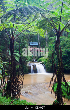 Parit Wasserfall, Cameron Highlands, Malaysia Stockfoto