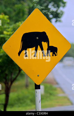 Warnung Straße Zeichen Elefanten überqueren Süden Sri Lankas Stockfoto