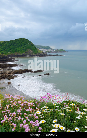 Frühling Blumen auf Rillage Point mit Blick auf Hele Bay, Beacon Point und Ilfracombe. North Devon, England. Stockfoto